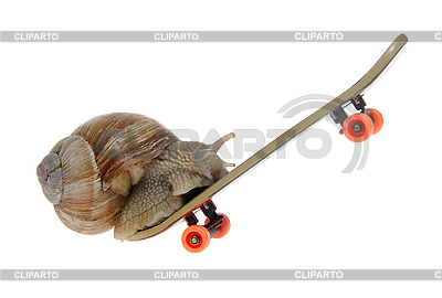 Cochleae in tabulis subrotatisSnails on skateboardsokhammock:all of the pics of snails on skateboard