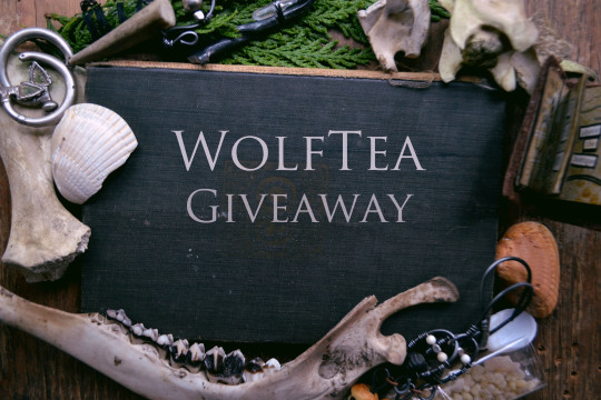 GIVEAWAY 