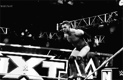 charlottesbliss: @theprincethrone asked for: Finn Balor gifs