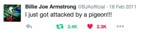 kerplunk:kafrizz:happy birthday to this iconic tweetten years ago today Billie Joe Armstrong got att