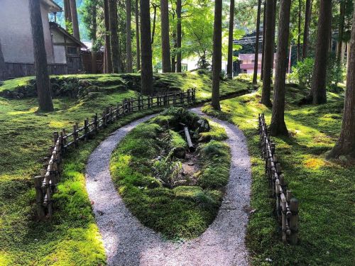 苔の里・叡智の杜 [ 石川県小松市 ] Hiyou Koke-no-Sato Moss Garden (Forest of Wisdom), Komatsu, Ishikawa の写真・記事を更新しま