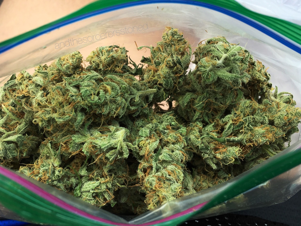 andthesorcerersstoned:  This bud is almost too pretty to smoke, almost. I’m gonna