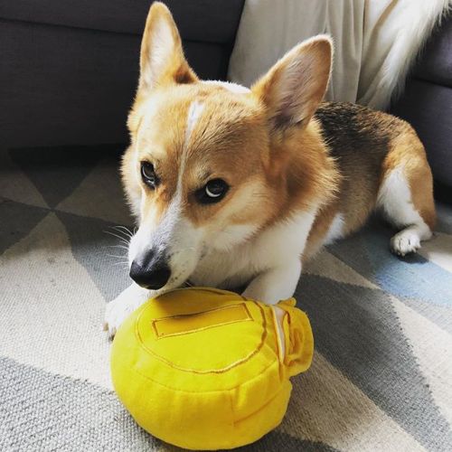 discothecorgi: Leveling up ift.tt/2yMm0Xm
