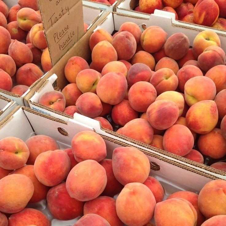 Peach Peach
