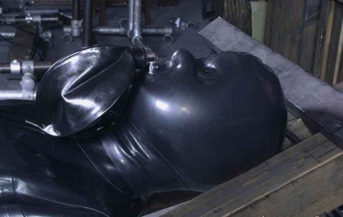pupnico:  boyryan54: It started with an innocent date with a dom. Three months later, it had a hard time remember its own name. The dom has made sure all the gimp knows is rubber and bondage.   I wish I could meet an “innocent” dom that would keep