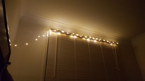 I love my new fairy lights, Sushi cat on the other hand, doesn&rsquo;t know what to make of them