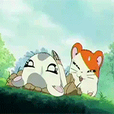 anarchycupcake:  Toonami’s Arsenal [29/88]: Hamtaro (2002 - 2004) “Well … they