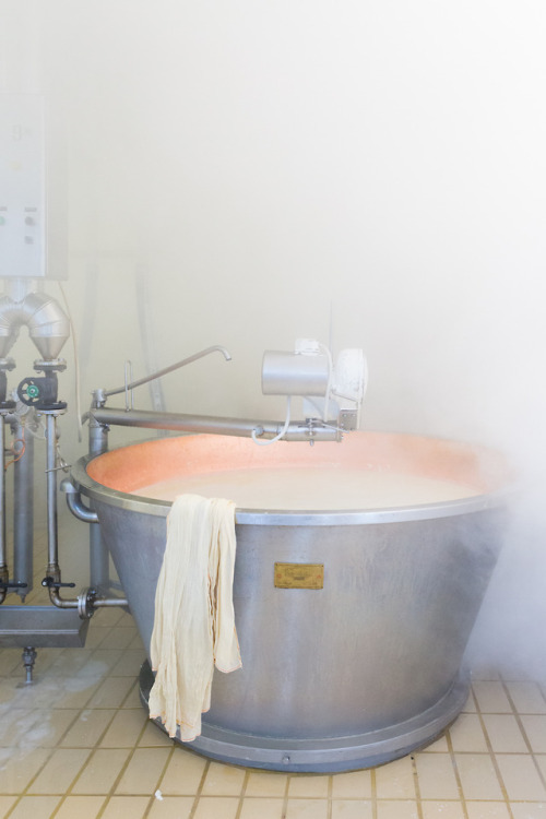 A Parmigiano Steam BathLocation: Castelnovo Sotto, ItalyWhile count ourselves amongst the world’s mo