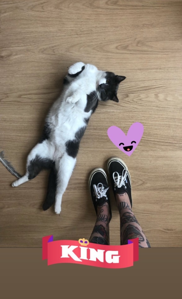 Tumblr media