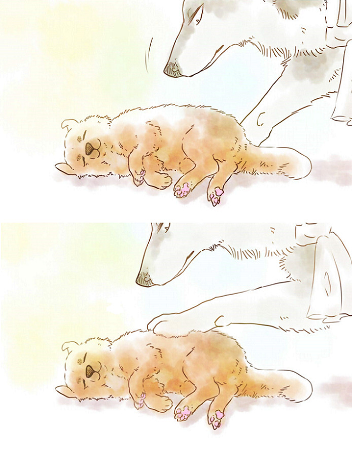 nonchalant-fork:  lbent:  こきあい  Wolf butt 