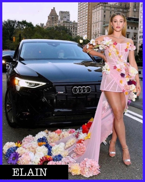 Random ACOTAR Characters At The Met Gala