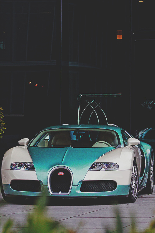 fine-luxury:  Fine-Luxury.co - High Quality Luxury Blog