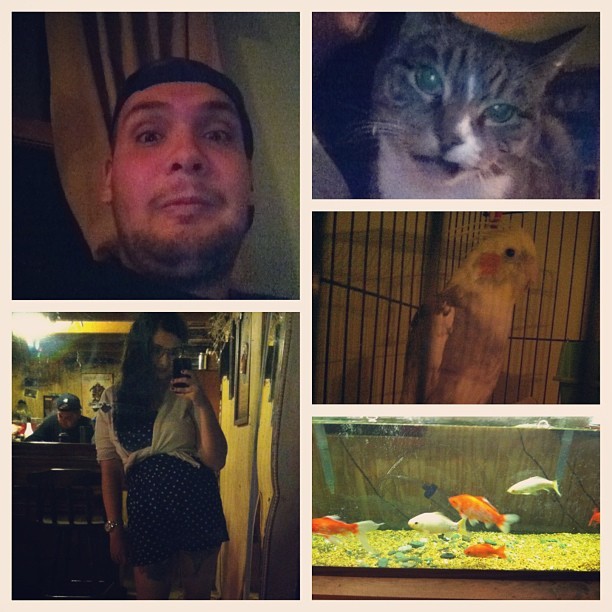 Pretty much what my night/weekend has been so far. #kylespets #babies #cuties