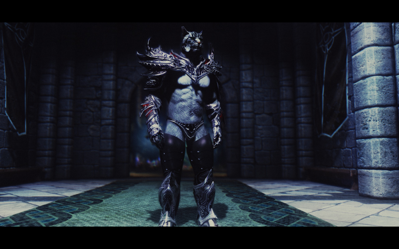 move-to-ipod:  personalchesschirebaconblog:  mrbonerswildride:  beastracesftw:  Skyrim