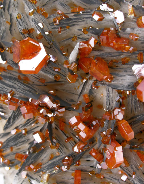 bijoux-et-mineraux: Vanadinite on Barite - Mibladen, Morocco