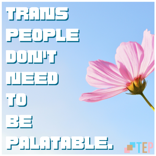 Trans people don&rsquo;t need to be palatable - to anyone, for any reason, in any situation.Tran