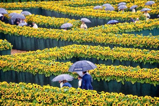 Van Gogh Museum in Amsterdam, Netherlands. adult photos