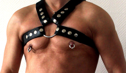 https://nipplepigs.tumblr.com/post/152960494315