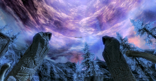 kakarikokid:  The Elder Scrolls V: Skyrim - Sovngarde