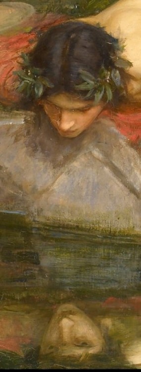 loafman: Click on the image to see the detail in a zoomable context. Detail from Echo and Narcissus,