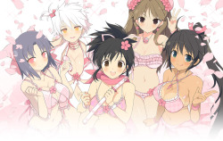 utades:  Senran kagura estival versus wallpaper