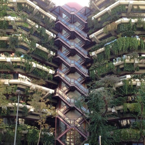 alunjameswebb: Nice shapes and symmetry. I got told that the angle of the glass on this building reflects the sunlight so it doesn’t blind the staff working inside and it shines onto the plants on each balcony. #cleverdesign #niceshapes #foliage #plants