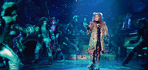 its-that-horrible-cat:Tumblebrutus and Plato encouraging Pouncival to mess with Grizabella.