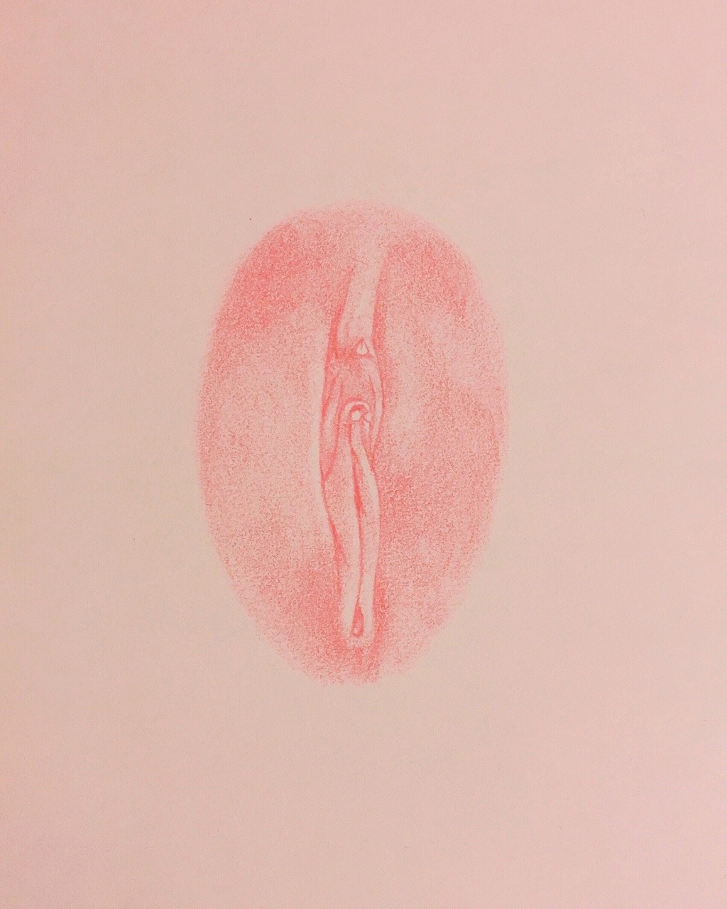 ismaelguerrier:  “Soft Pink 12″ From my new series Soft Pink. (Color pencil on