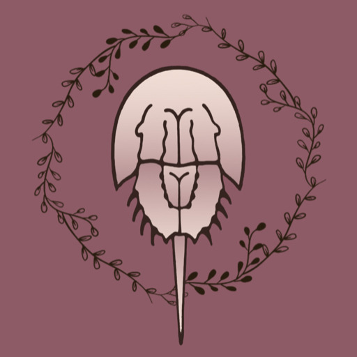 𓆟thinking about the immortality of the crab𓆟