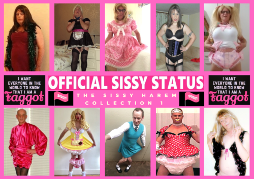 sissyracheal-1969:jensis4u:captaintoniuniverse:sissyandrewcampbell:6 sissy harem collections so far…