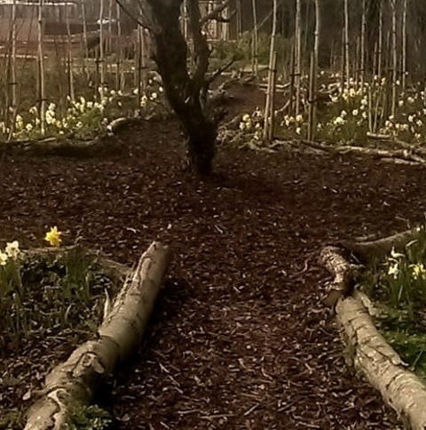 Inspiration For A Large Farmhouse Mulch Garden Path In The Backyard In Full Sun.