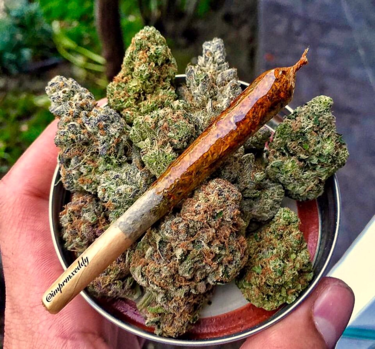 курят ли шишки конопли курят ли шишки конопли