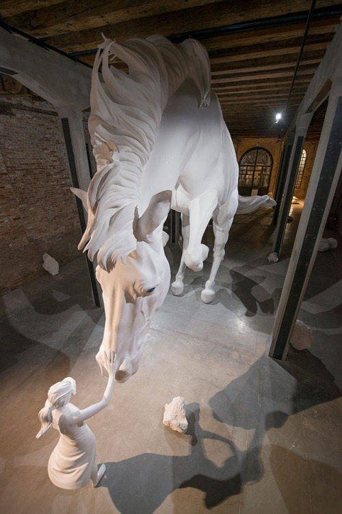 mutantesblog:*El Problema del Caballo*Claudia Fontes. Argentina.Curador: Andrés Duprat.Pabellón: Ars