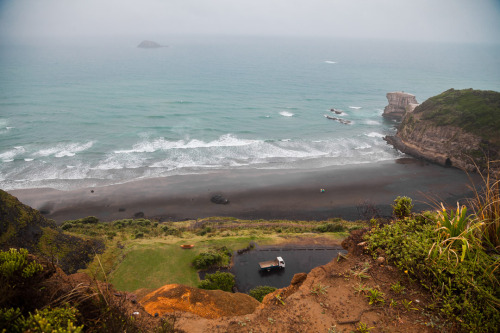 Muriwai Gannet Colony, Muriwai Beach, West Auckland, NZ