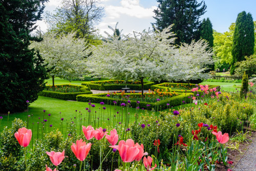 Bodnant Gardens  |  by Mij Q