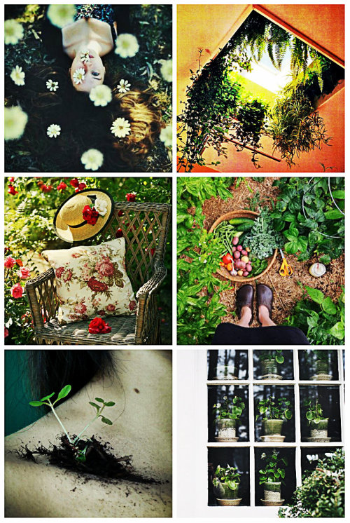 stormwaterwitch:Garden Witch Aesthetic