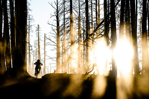 overthehillmtb: Where I would rather be.