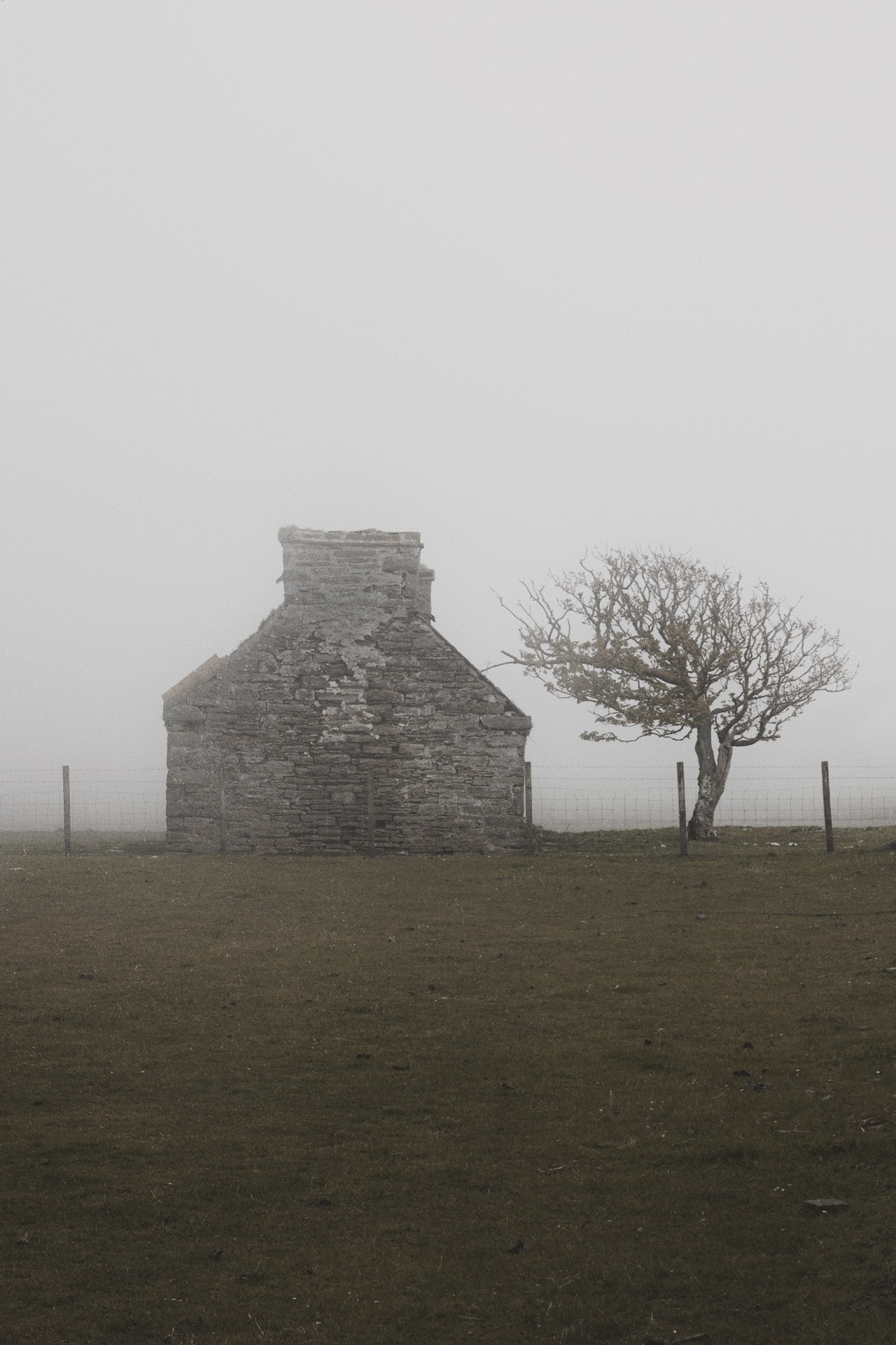 skylerbrownart: Scotland Fog photos by Skyler Brown Tumblr | Facebook | Instagram