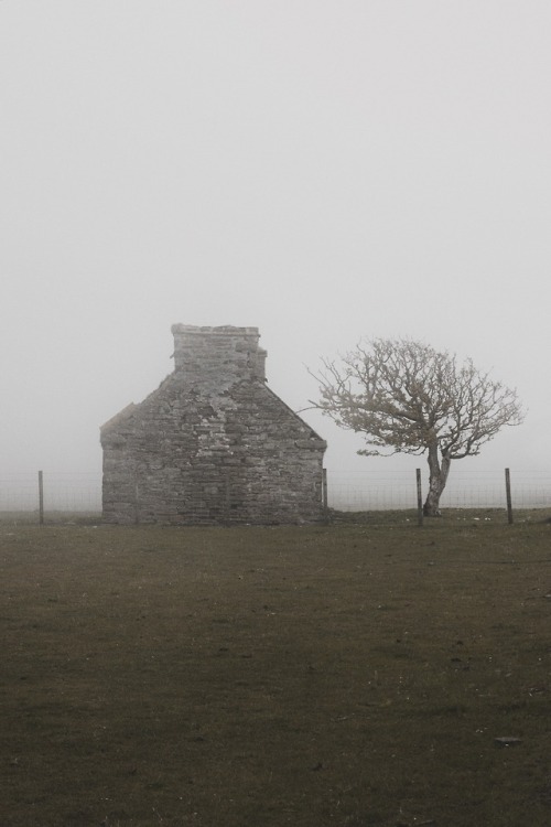 skylerbrownart:Scotland Fogphotos by Skyler BrownTumblr | Facebook | Instagram | Flickr