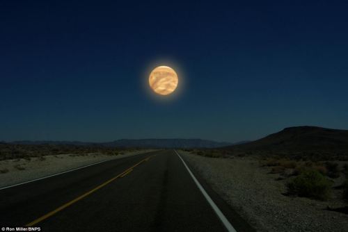 unexplained-events:  Former NASA art director Ron Miller created images of what the night sky would look like if the moon was replaced by the other planets in the solar system. 1. Moon ( Original photo taken over Death Valley, California.)2. Neptune3.