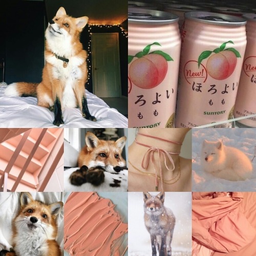 Pastel fox moodboard for @cuteamaranthine Requests open!