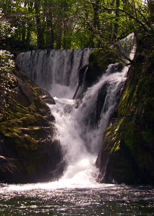 lori-rocks:  Cascading Falls 