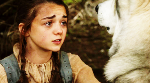 Arya had named her wolf after the warrior queen of the Rhoyne, who had led her people across the nar