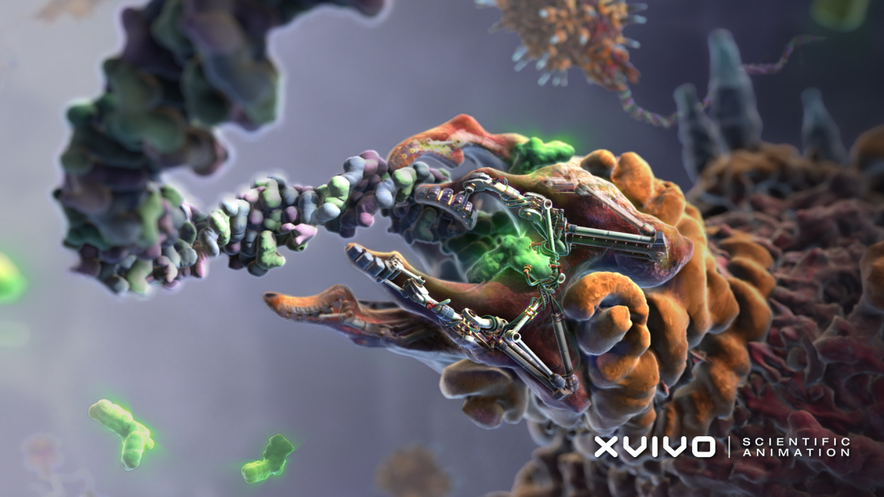 The mechanical nature of the DNA packing motor in a bacteriophage. Biomedical illustration by XVIVO.