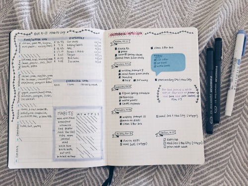 studytildawn:  My bullet journal spread this week! ✒️