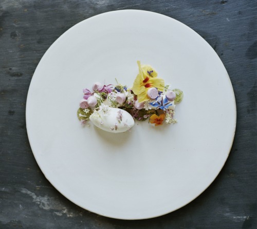 this-is-letter27:  Ditte Isager—photographs from Noma: Time and Place in Nordic Cuisine.