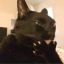 toastyhostys-blog