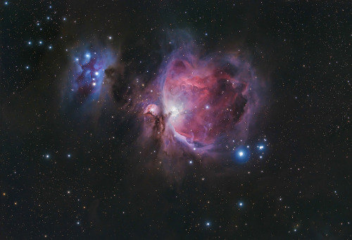 M42 - The Great Orion Nebula (Various Views)