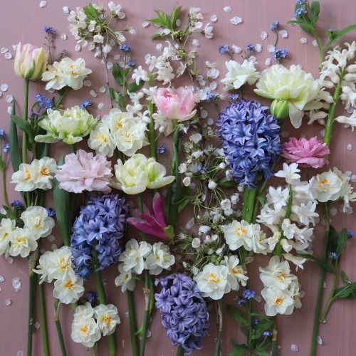 fleur-aesthetic:instagram | london_blooms porn pictures