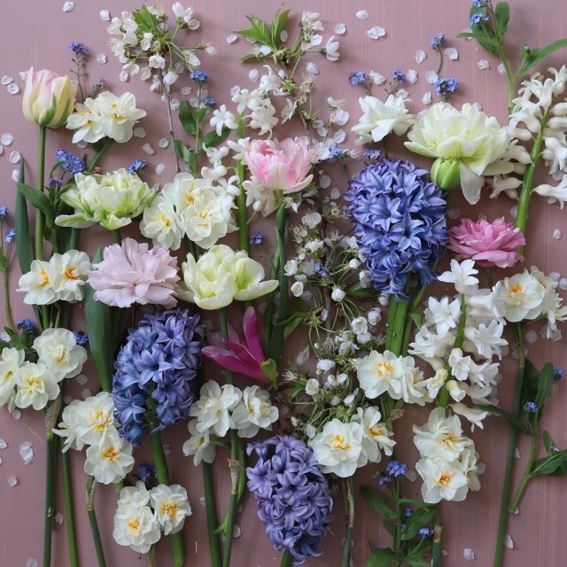 fleur-aesthetic:instagram | london_blooms
